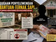 Bantuan Sapi di Balongwangi Tikung Lamongan, Penerima Disebut Bayar Rp6 Juta IMG 20260514 WA0018