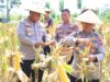 Panen Jagung Serentak di Blora Berlangsung Meriah, Polri Perkuat Ketahanan Pangan Nasional IMG 20260517 WA0002