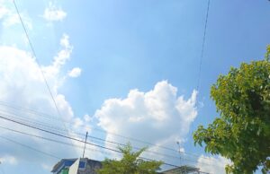 Prakiraan Cuaca Bojonegoro Terbaru, Siang Hari Cerah Berawan IMG 20260517 WA0027