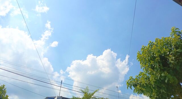 Prakiraan Cuaca Bojonegoro Terbaru, Siang Hari Cerah Berawan IMG 20260517 WA0027