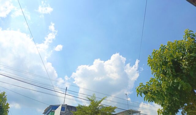 IMG 20260517 WA0027