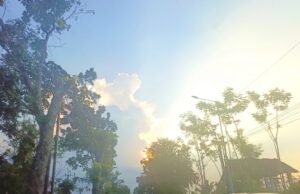 Prakiraan Cuaca Bojonegoro Terbaru: Pagi Berawan, Siang Cerah Terik IMG 20260518 WA0007