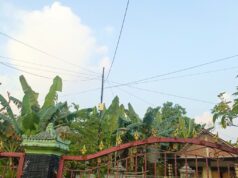 Cuaca Bojonegoro Didominasi Cerah Berawan, Ini Detailnya IMG 20260519 WA0013