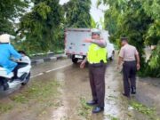 Truk Tangki Hantam Pohon di Babat Lamongan, Jalur Pantura Sempat Tersendat IMG 20260522 WA0006