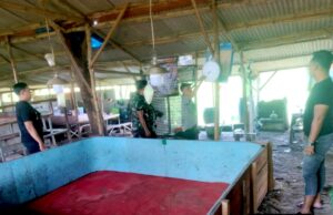 Dugaan Pembiaran Sabung Ayam di Lamongan Menguat, Warga Minta Investigasi Total IMG 20260524 WA0017