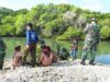 Semangat Gotong Royong Warnai Penanaman 1.000 Mangrove di Paciran Lamongan IMG 20260525 WA0021