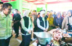 Gubernur Khofifah Sidak Pasar dan Kandang Sapi di Bojonegoro, Ini Hasilnya IMG 20260525 WA0023
