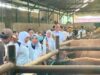Kisah Warianto Peternak Bojonegoro, Dari 8 Kambing Kini Miliki 90 Ekor Sapi IMG 20260526 WA0011