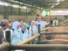 Kisah Warianto Peternak Bojonegoro, Dari 8 Kambing Kini Miliki 90 Ekor Sapi IMG 20260526 WA0011