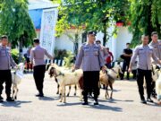 Sambut Idul Adha, Polres Tuban Bagikan Puluhan Hewan Kurban ke Warga IMG 20260526 WA0014