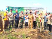 Demi Hutan Lestari, Babinsa Solokuro Lamongan Ajak Warga Tanam Pohon Produktif IMG 20260528 WA0019