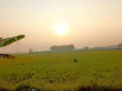Cuaca Bojonegoro Cerah dan Panas Hari Ini, Warga Dihimbau Tetap Waspada IMG 20260602 WA0001