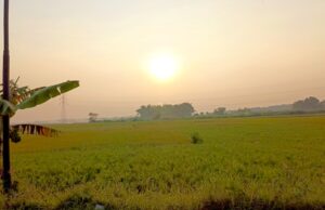 Cuaca Bojonegoro Cerah dan Panas Hari Ini, Warga Dihimbau Tetap Waspada IMG 20260602 WA0001