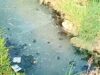 Warga Mulyoagung Bojonegoro Keluhkan Limbah Industri Tahu, Diduga Berdampak pada Lahan Pertanian IMG 20260603 WA0002