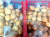 Gresik Catat Tren Positif, Inflasi Stabil dan Okupansi Hotel Meningkat IMG 20260604 WA0038