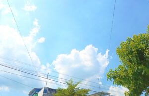 Prakiraan Cuaca Bojonegoro Hari Ini: Langit Cerah IMG 20260608 WA0002
