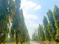Update Cuaca Bojonegoro Selasa Ini: Cerah, Panas dan Nihil Bencana IMG 20260609 WA0010