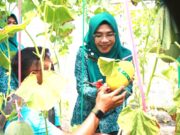 Cantika Wahono Jelajahi Potensi Lokal Malo Bojonegoro IMG 20260610 WA0002
