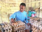 Tak Hanya Jual Telur, KPM GAYATRI Bojonegoro Kini Kuasai Pasar Pakan IMG 20260617 WA0011