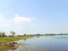 Warga Bojonegoro Bisa Tenang, Cuaca Hari Ini Cerah IMG 20260618 WA0006