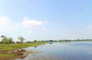 Warga Bojonegoro Bisa Tenang, Cuaca Hari Ini Cerah IMG 20260618 WA0006