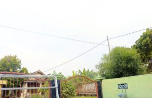 Prakiraan Cuaca Bojonegoro Cerah Seharian IMG 20260619 WA0002
