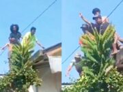 Ngaku Sudah Tiga Kali Beraksi, Kakek Terduga Pemerkosa Anak di Cakung Jakarta Diamankan IMG 20260621 WA0062