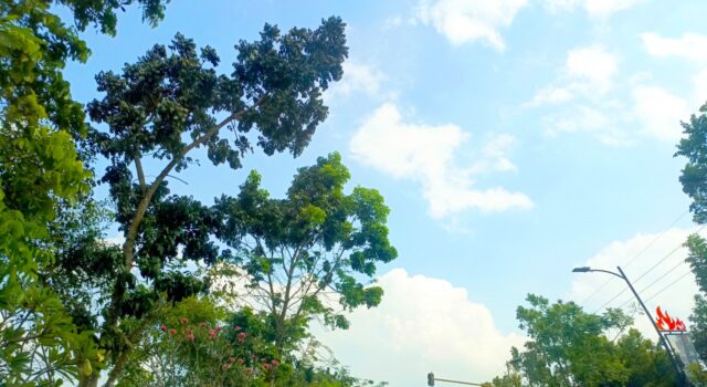 Prakiraan Cuaca Bojonegoro Sabtu 27 Juni 2026: Cerah Mendominasi IMG 20260627 WA0013