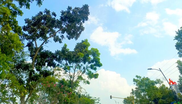 IMG 20260627 WA0013