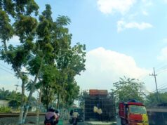 Cuaca Cerah Dominasi Bojonegoro Hari Ini IMG 20260630 WA0003