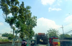 Cuaca Cerah Dominasi Bojonegoro Hari Ini IMG 20260630 WA0003