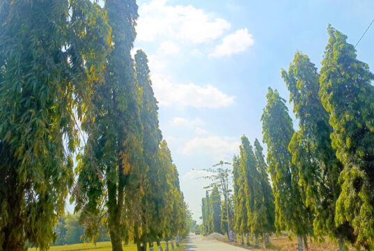 Prakiraan Cuaca Bojonegoro Hari Ini, Rabu 1 Juli 2026: Cerah Sejak Pagi IMG 20260701 WA0020