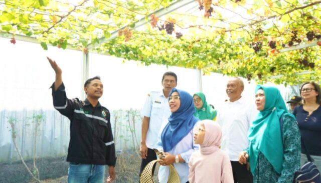IMG 20260701 WA0062