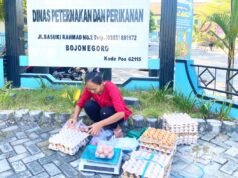 Telur GAYATRI Bojonegoro Makin Diminati, Disnakkan Bantu Pemasaran IMG 20260703 WA0031