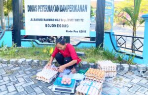 Telur GAYATRI Bojonegoro Makin Diminati, Disnakkan Bantu Pemasaran IMG 20260703 WA0031