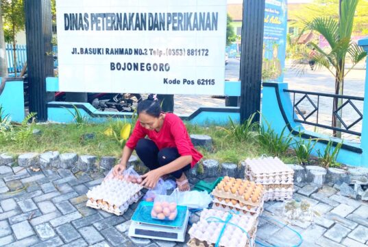 Telur GAYATRI Bojonegoro Makin Diminati, Disnakkan Bantu Pemasaran IMG 20260703 WA0031