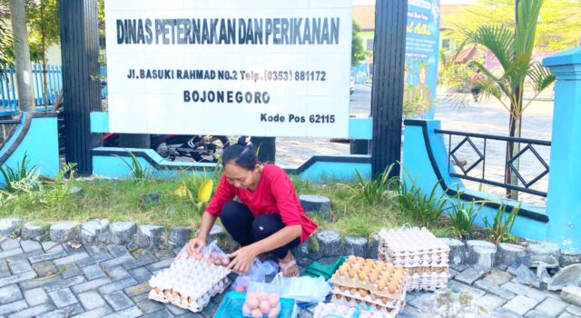 Telur GAYATRI Bojonegoro Makin Diminati, Disnakkan Bantu Pemasaran IMG 20260703 WA0031