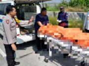 Kecelakaan Fatal di Kalitengah Lamongan, Pengendara Motor Meninggal di Lokasi IMG 20260703 WA0033