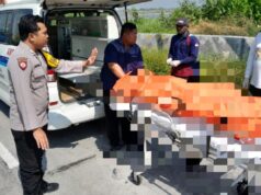 Kecelakaan Fatal di Kalitengah Lamongan, Pengendara Motor Meninggal di Lokasi IMG 20260703 WA0033