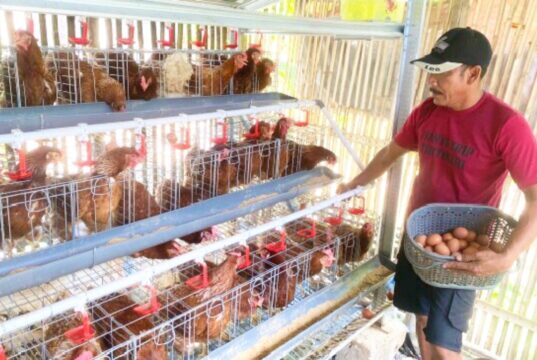 Harga Pakan Melambung, Bojonegoro Siapkan Langkah Cepat Selamatkan Peternak GAYATRI IMG 20260703 WA0037