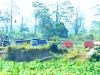 Tambang Pasir Diduga Ilegal di Ponggok Blitar Ramai Beroperasi, Ini Temuannya IMG 20260704 WA0001