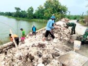 Cegah Abrasi dan Longsor, Babinsa Koramil Karangbinangun Lamongan Bersama Warga Bangun TPT IMG 20260708 WA0002