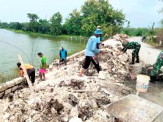 Cegah Abrasi dan Longsor, Babinsa Koramil Karangbinangun Lamongan Bersama Warga Bangun TPT IMG 20260708 WA0002