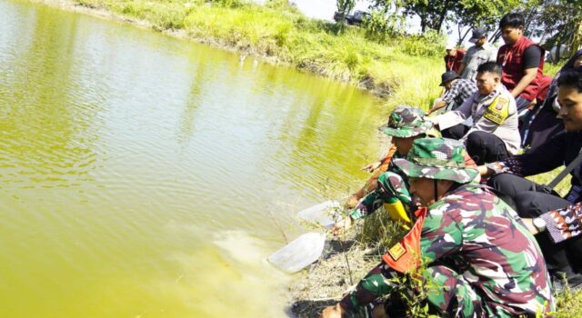 TMMD 129 Bojonegoro Hadirkan Harapan Baru, 11 Ribu Benih Ikan Ditebar di Desa Kesongo IMG 20260717 WA0048