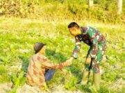 Senyum Mbah Zaeni dan Serda Risky Warnai TMMD 129 Bojonegoro, Kedekatan TNI Rakyat Makin Erat IMG 20260720 WA0027