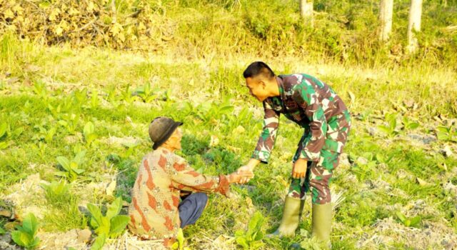 Senyum Mbah Zaeni dan Serda Risky Warnai TMMD 129 Bojonegoro, Kedekatan TNI Rakyat Makin Erat IMG 20260720 WA0027