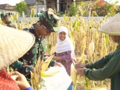 TMMD 129 Bojonegoro Hadir Hingga ke Ladang, Petani Rasakan Manfaat Nyata IMG 20260722 WA0002