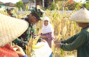 TMMD 129 Bojonegoro Hadir Hingga ke Ladang, Petani Rasakan Manfaat Nyata IMG 20260722 WA0002