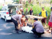 Diduga Hilang Kendali, Pelajar di Lamongan Tewas Usai Bertabrakan dengan Truk IMG 20260723 WA0015