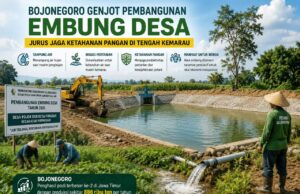 Strategi Baru Bojonegoro Hadapi Kekeringan, Embung Desa Jadi Kunci IMG 20260729 WA0065